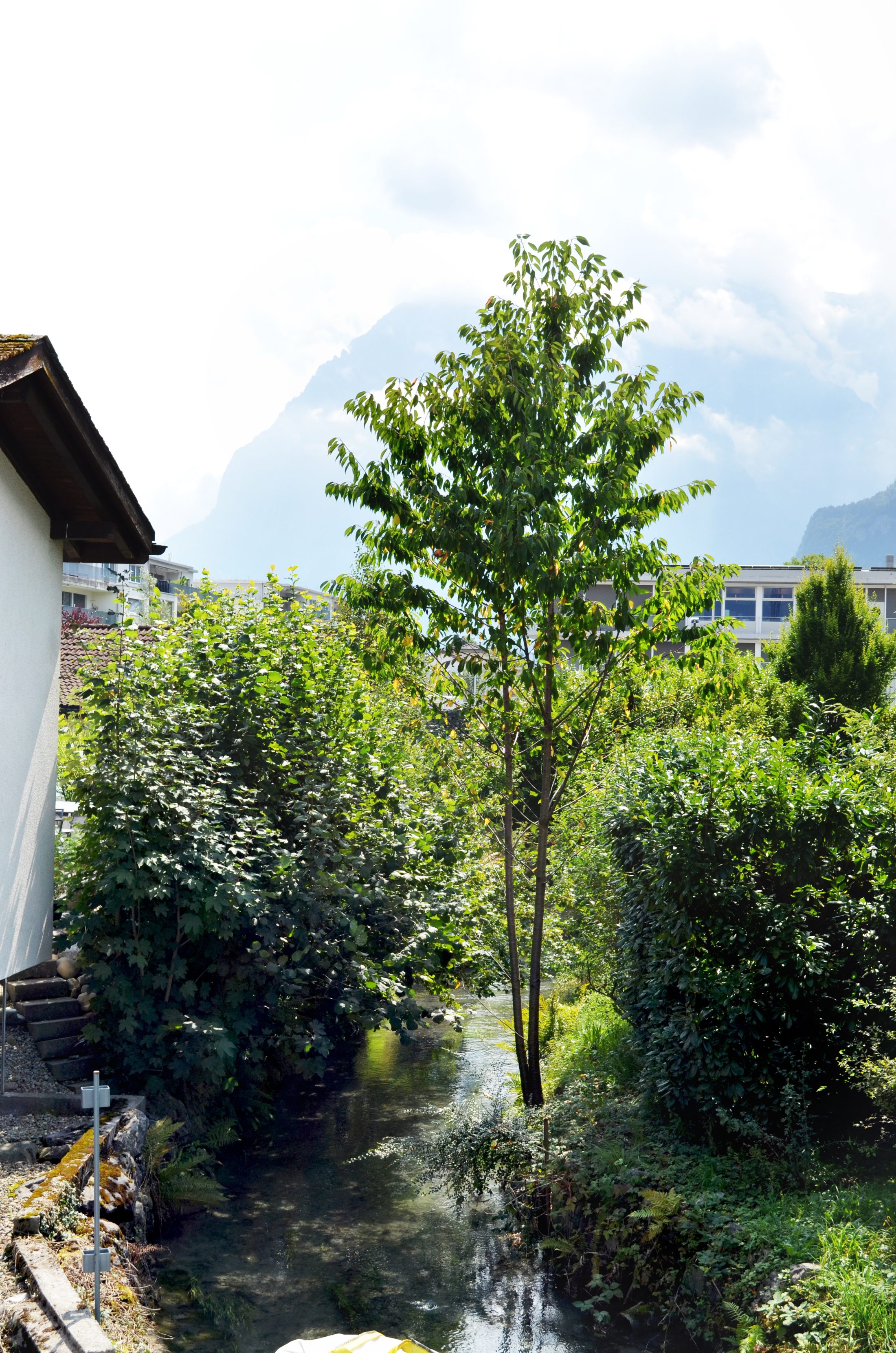 Gewürzmühle Näfels